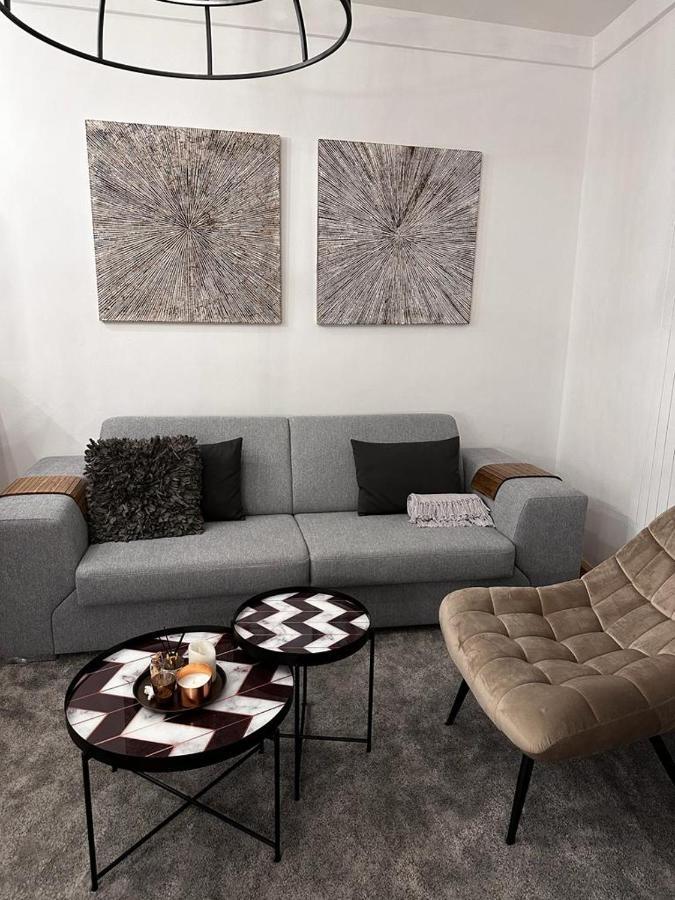 Riverside Apartment كارلوفي فاري المظهر الخارجي الصورة