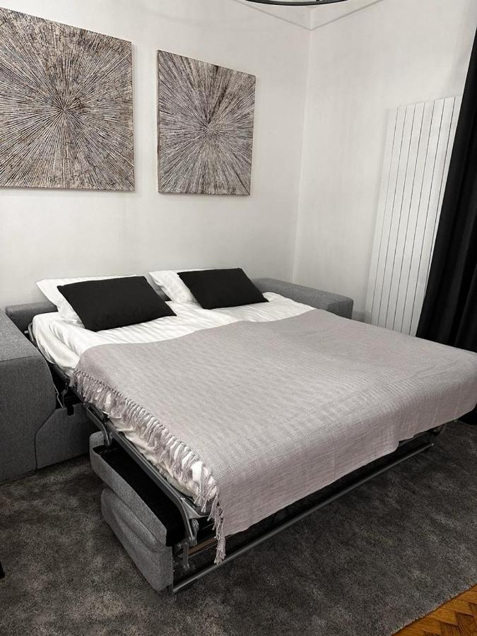 Riverside Apartment كارلوفي فاري المظهر الخارجي الصورة