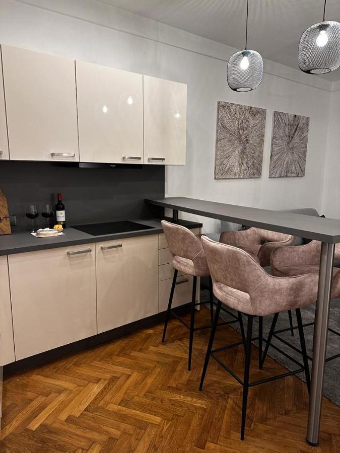 Riverside Apartment كارلوفي فاري المظهر الخارجي الصورة